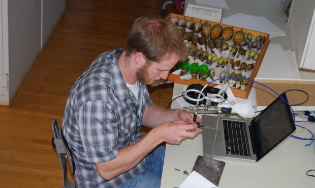 Doctoral dissertation improvement grant national science foundation